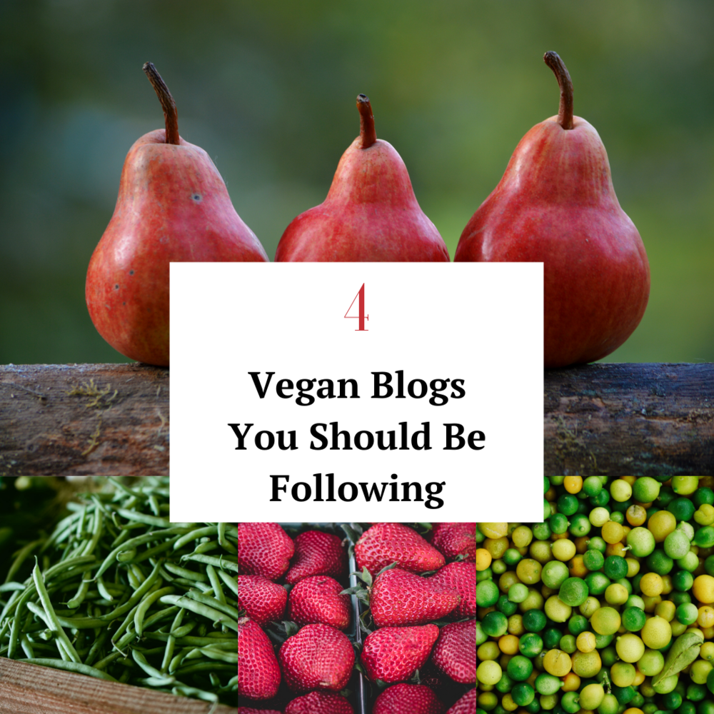 4 Vegan Blogs You Should Be Following