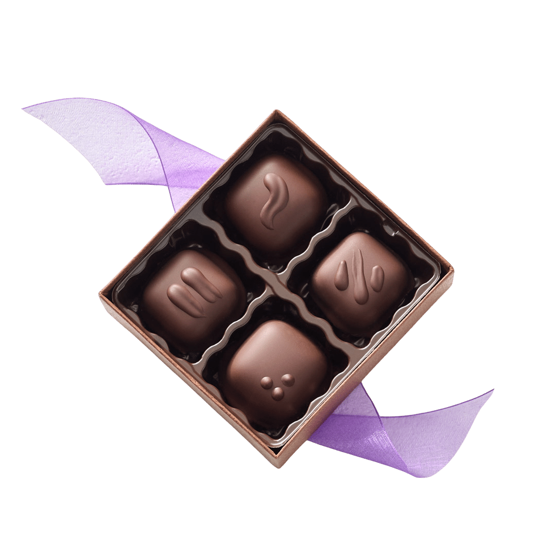 Temptation Vegan Chocolate Gift Box 4-PC