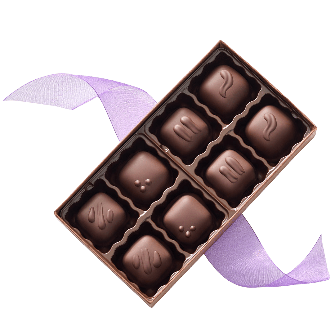 Delight Vegan Chocolate Gift Box 8-PC